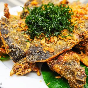 Các món về Ba ba